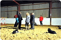 Training Classes Training Classes