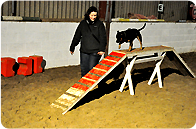 Training Classes Training Classes